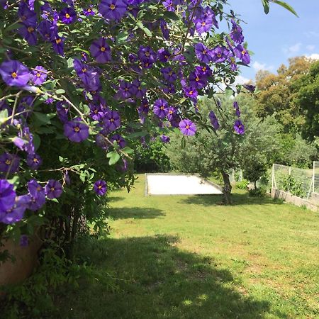 Apartament Oustaou Di Ercole Bormes-les-Mimosas Zewnętrze zdjęcie