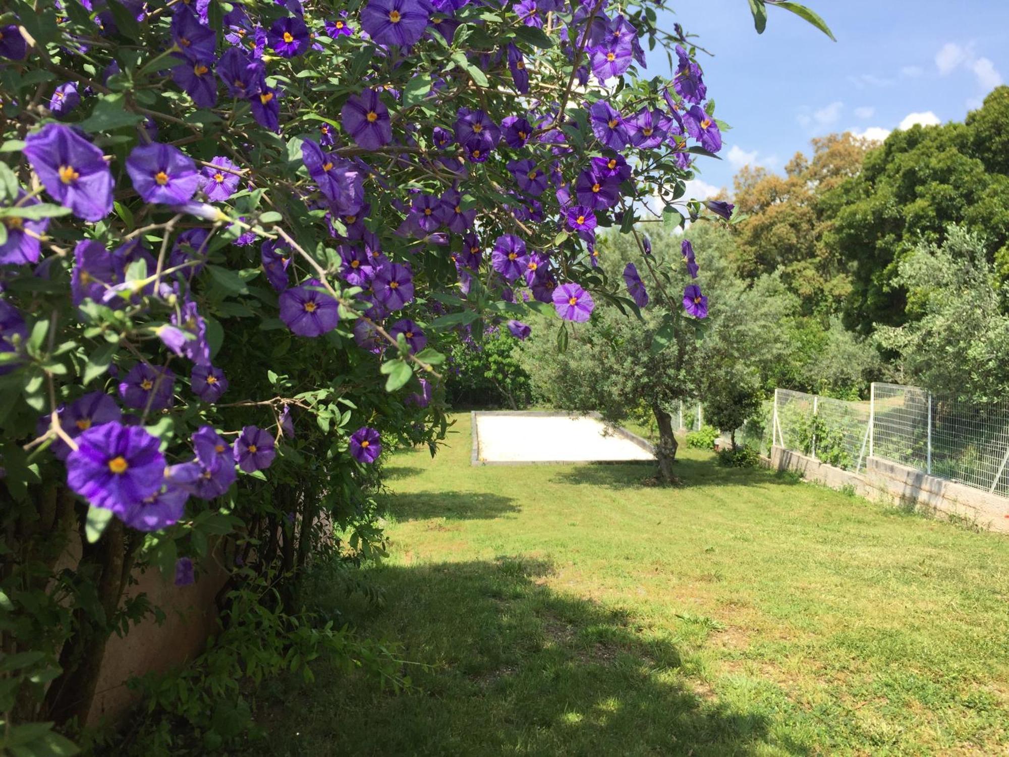 Apartament Oustaou Di Ercole Bormes-les-Mimosas Zewnętrze zdjęcie